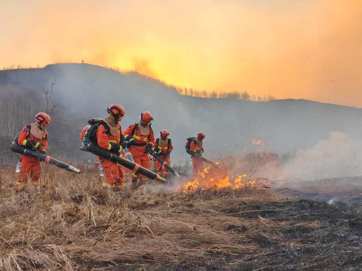 Jepang Terjunkan Pakar Atasi Dampak Kebakaran Hutan Mongolia