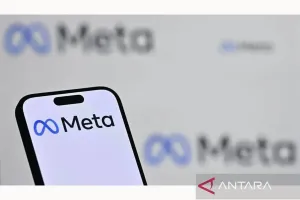 Kebebasan Berekspresi di Pemilu Brasil Dipertaruhkan, Pakar PBB Desak Meta Bertindak