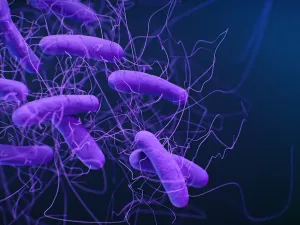Krisis Bakteri Super, 19 Patogen Kebal Obat Picu 50.000 Lebih Kematian di AS
