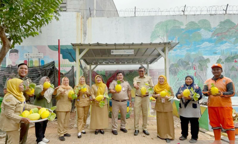 "Urban Farming" Buktikan Jakarta Bisa Penen! 37 Kg Melon ...