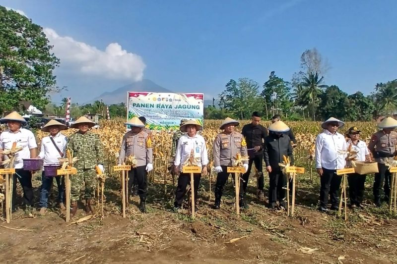 Kapolda Sulut Apresiasi Kelompok Tani Sehati Ciptakan Var...