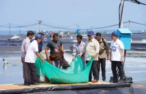 KKP Perkuat Ekonomi Kelautan dengan Fokus pada Kesejahteraan Nelayan  