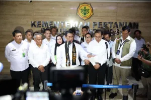 Mentan Minta Bulog Serap Jagung Petani