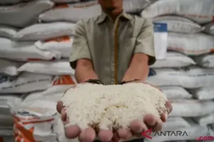 Pembenahan Tata Niaga Beras Mendesak untuk Cegah Penyimpangan