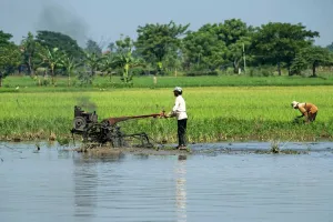 Pengamat: Regenerasi Petani Jadi Tantangan Akibat Minat Anak Muda Rendah