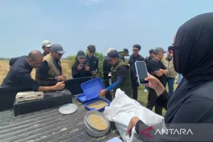 Bulog Lampaui Target Serapan 4 Juta Ton Beras