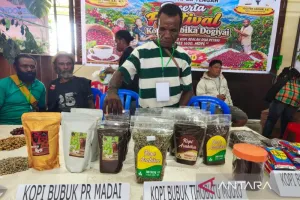 Dari Kebun ke Pasar, Petani Kopi Papua Didorong Makin Berdaya