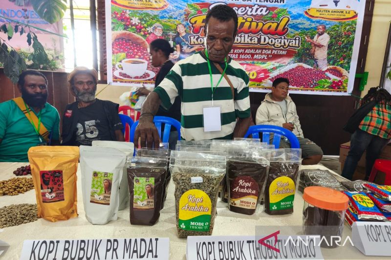 Dari Kebun ke Pasar, Petani Kopi Papua Didorong Makin Berdaya