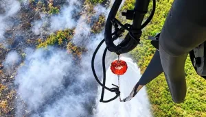 DPR RI Minta Pelaku Kebakar...