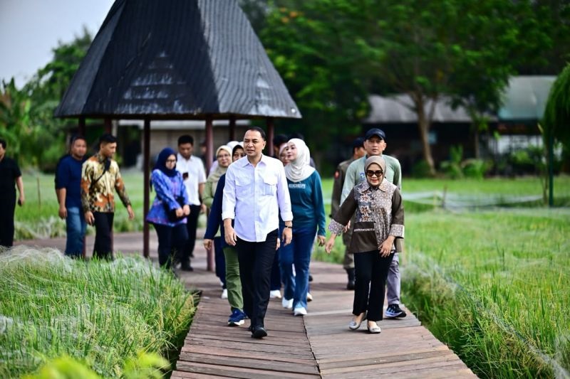 Surabaya Barat Bakal Punya Wisata Sawah Lengkap dengan Sepeda Air dan Kuliner