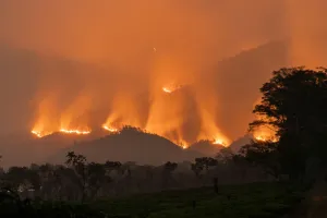 Tak Hanya Pencabutan Izin, Perusahaan Penyebab Karhutla Harus Ganti Rugi