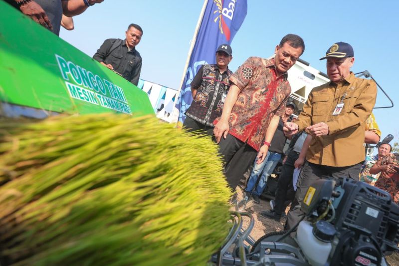 Gubernur Jawa Tengah Optimistis Target Produksi Padi Tercapai Seiring HujanR