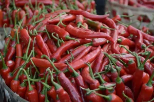 Harga Cabai Merah Besar di Jayapura Tembus Rp120.000 per Kg