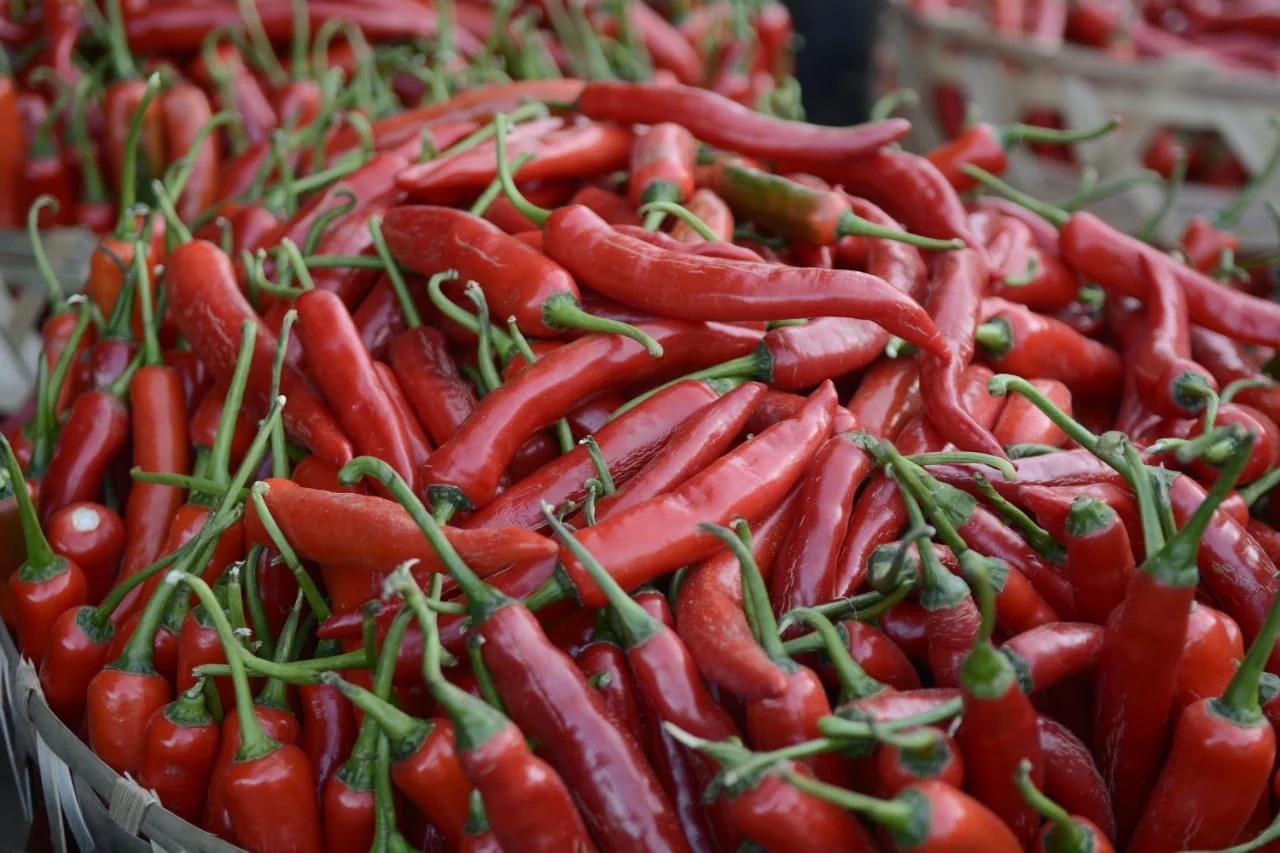 Harga Cabai Merah Besar di Jayapura Tembus Rp120.000 per Kg