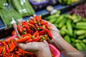 Harga Pangan Hari Ini: Cabai Rawit Rp96.200/Kg, Telur Ayam Rp29.350/Kg