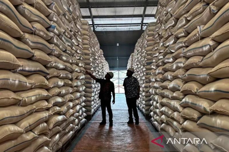 Hingga Akhir Oktober, Perum Bulog Semarang Serap 188 Ribu Ton Gabah Petani   