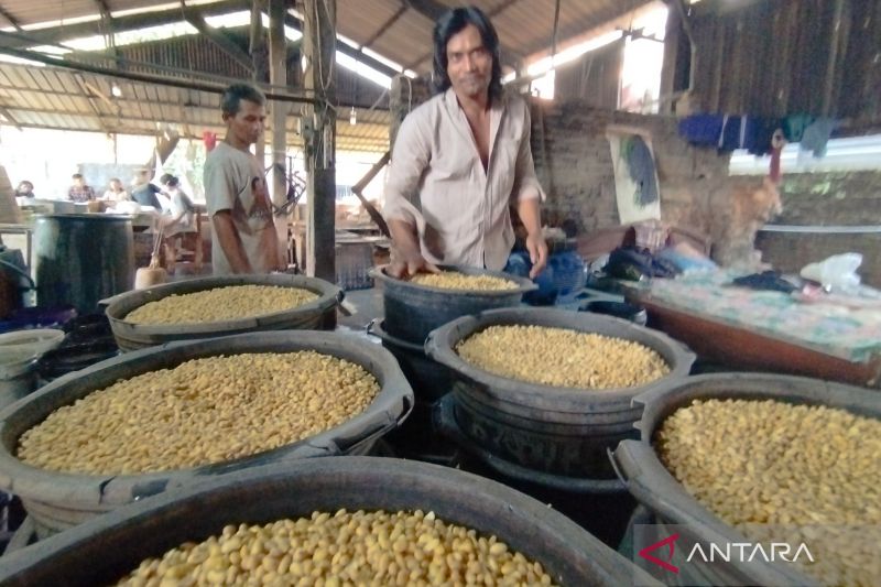 Stok Berkurang, Harga Jual Kedelai Impor Alami Kenaikan Pekan Ini