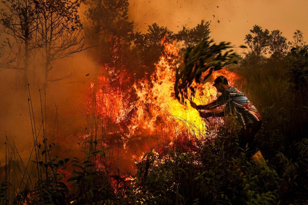 Studi CREA Kaitkan 3.500 Kematian pada Bulan September Di...