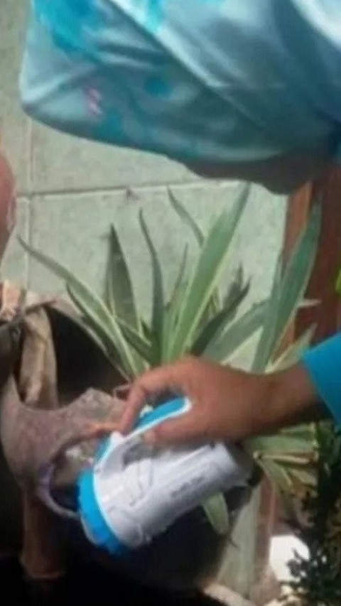 Cegah Demam Berdarah, 52 Rumah di Palmerah Disidak untuk Deteksi Jentik Nyamuk