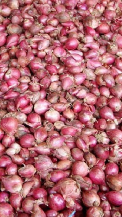 Harga Bawang Merah Nasional Naik 3 Bulan Terakhir