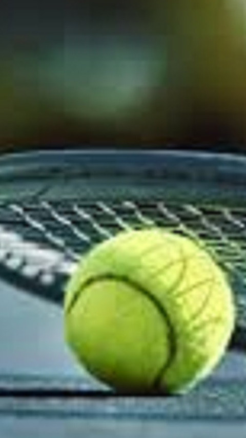 Kandaskan Alcaraz, Djokovic Hadapi Zverev