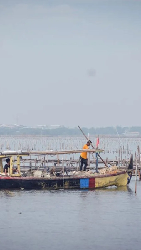Soal Pagar Laut, Mantan Bupati Tangerang Sebut Sudah Ada Sebelum PIK 2 Dibangun