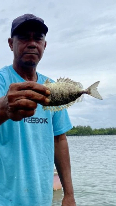 Jelang Imlek, Nelayan Batam Panen Ikan Dingkis 
