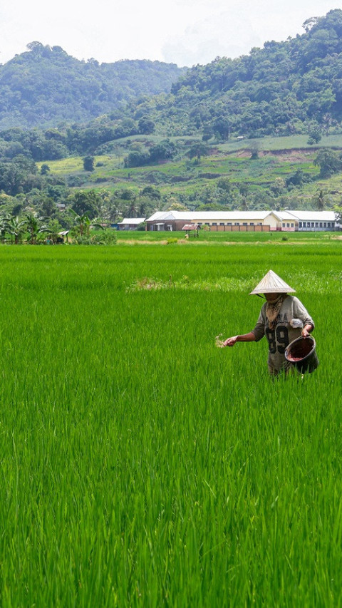 Wujudkan Swasembada Pangan