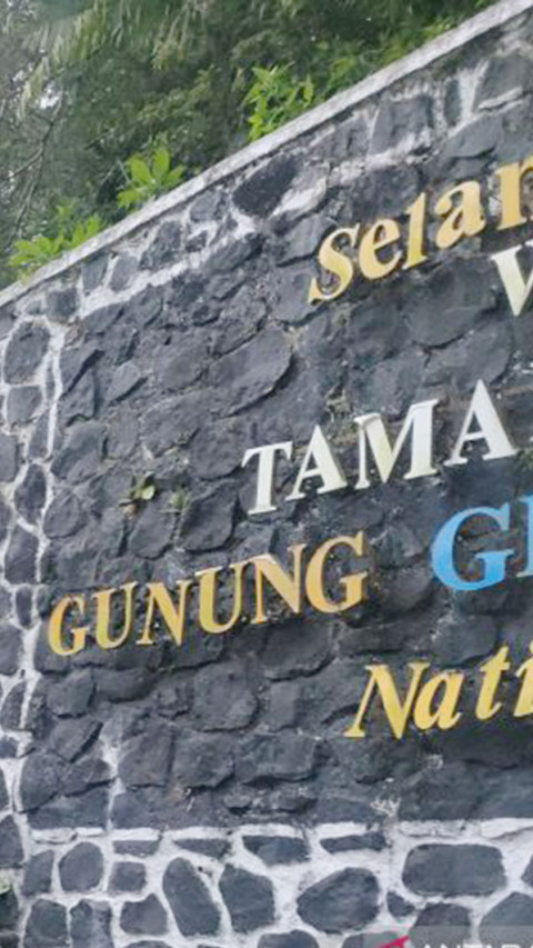 Selama Masa Penutupan, TNGGP Berikan Sanksi 77 Pendaki Ilegal 