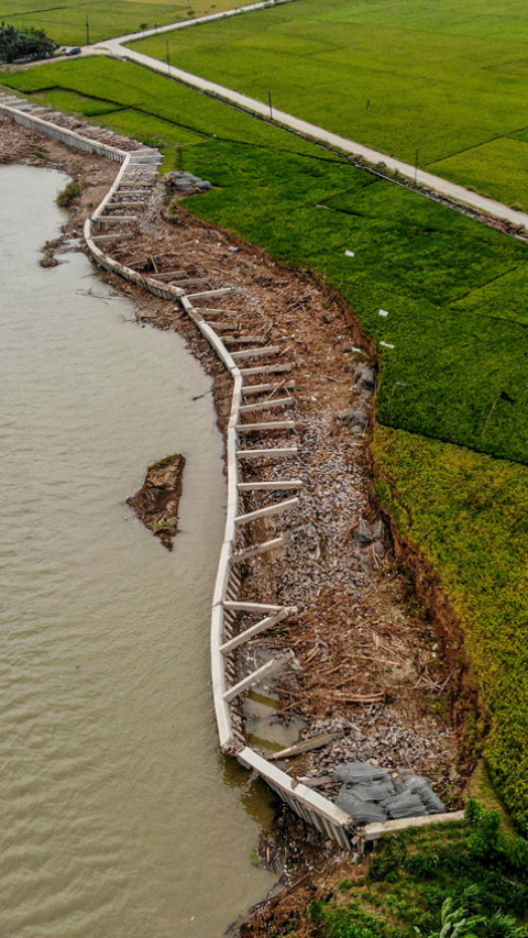 Proyek tanggul sungai Bengawan Solo ambruk