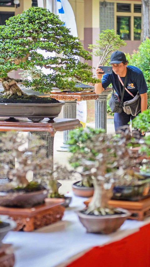 Gebyar Bonsai Tangerang