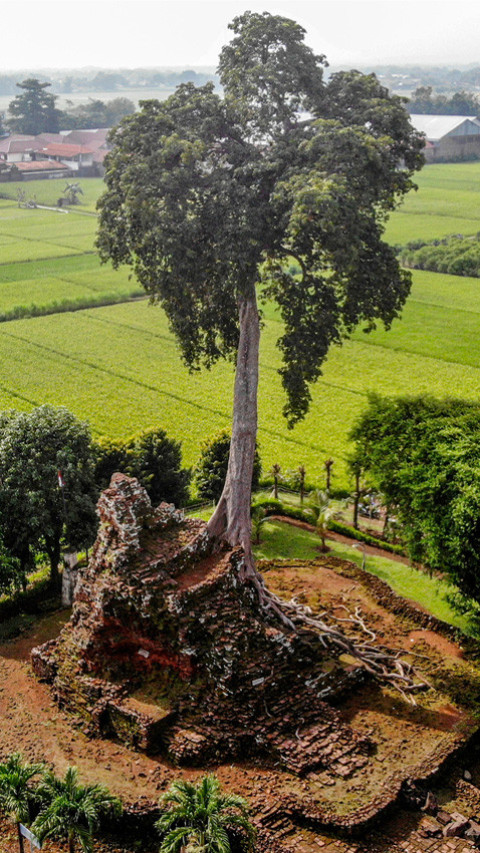 Candi Lor alami pelapukan