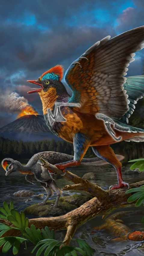 Bagaimana Dinosaurus Berevolusi Menjadi Aves?